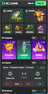 Exploring the BC.Game IN Platform A Revolution in Online Gaming
