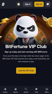 Understanding How BTC Works at Bitfortune -1166366277
