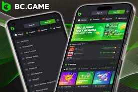 BCStavka Casino Overview A Comprehensive Guide 695002598