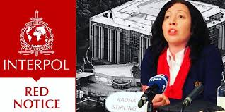 Understanding and Navigating Interpol Red Notice Removal 1344505738